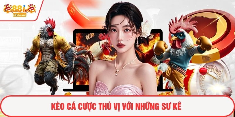 Kèo cá cược thú vị với những sư kê