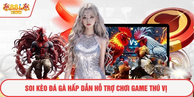 Soi kèo đá gà hấp dẫn hỗ trợ chơi game thú vị